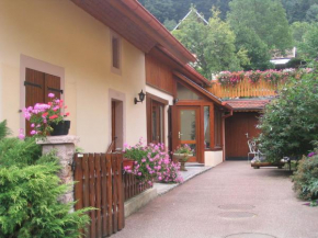 Les Gentianes Breitenbach-Haut-Rhin